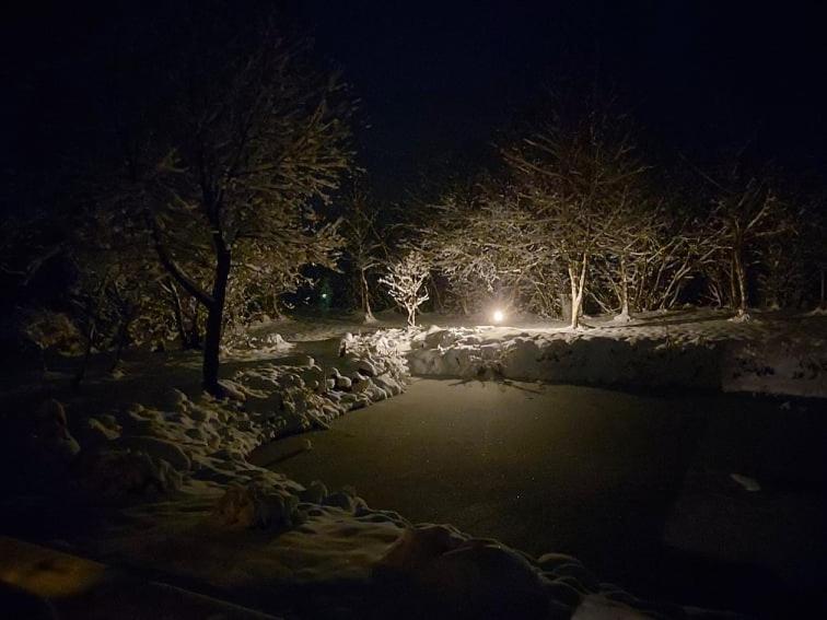 Akmeninis Bebras Villa Zemaiteliai Kültér fotó