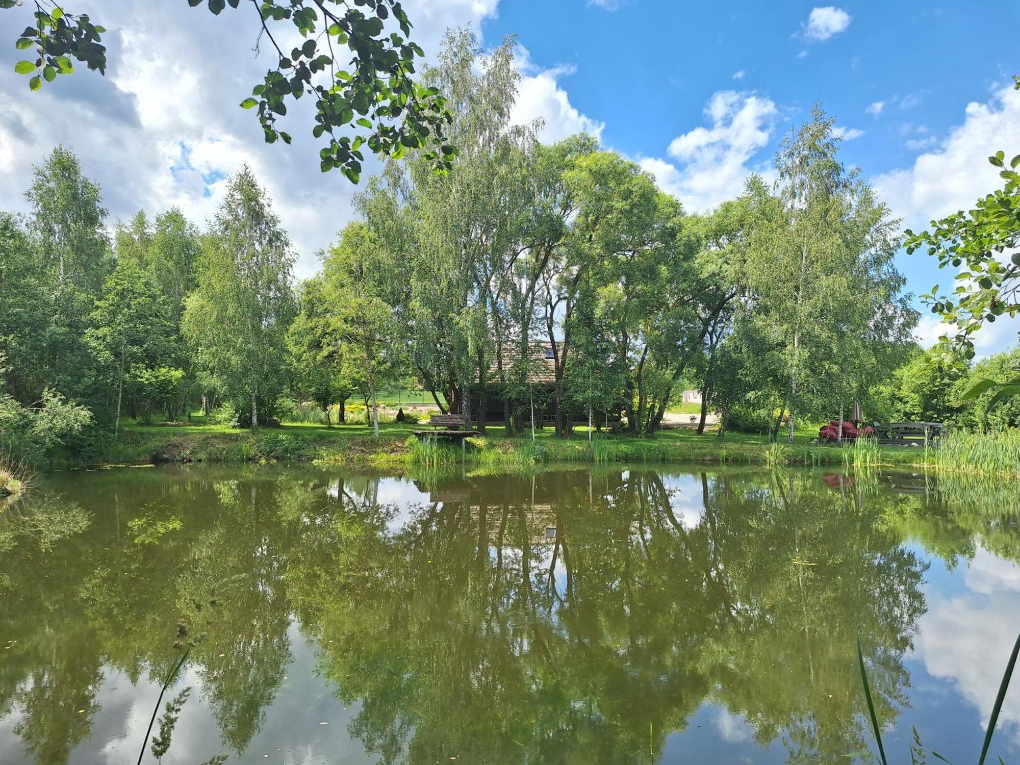 Akmeninis Bebras Villa Zemaiteliai Kültér fotó