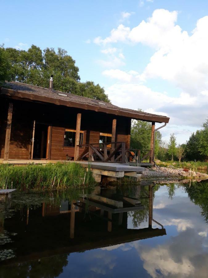 Akmeninis Bebras Villa Zemaiteliai Kültér fotó