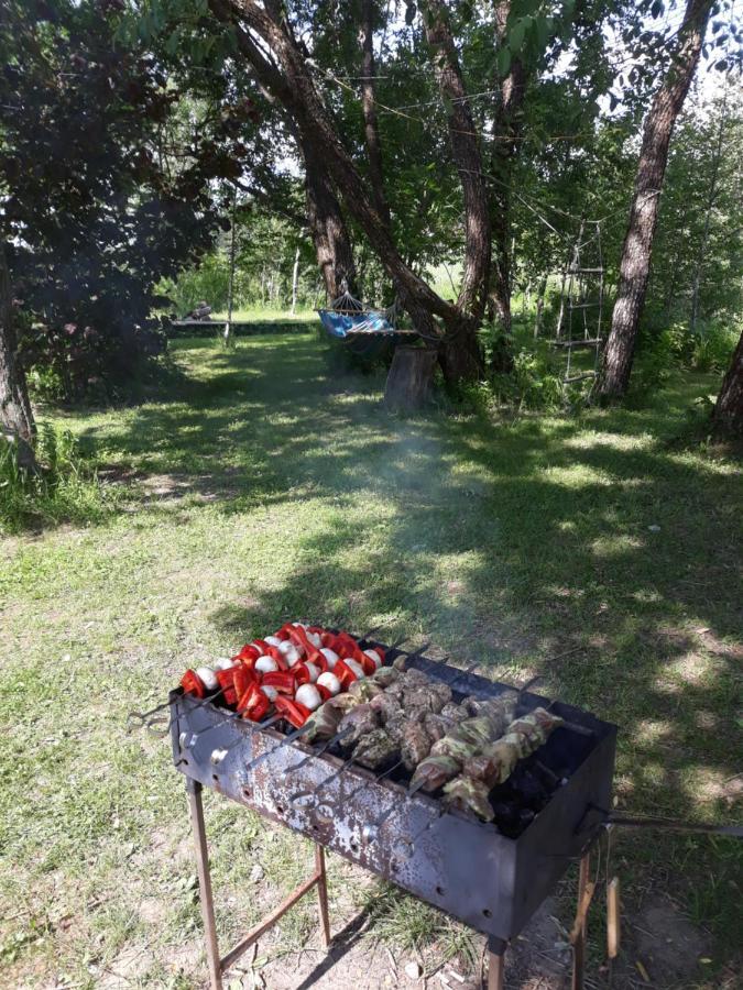 Akmeninis Bebras Villa Zemaiteliai Kültér fotó